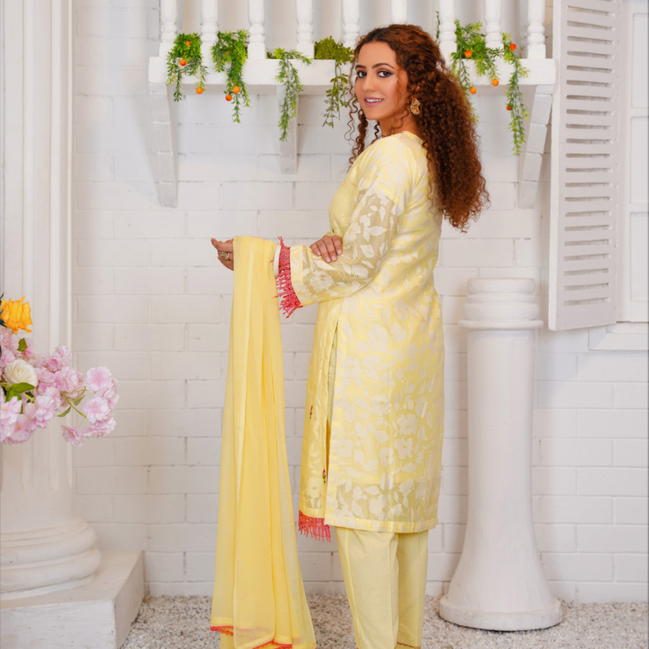 3-piece Embroidered Lemon Broshia Lawn Dress