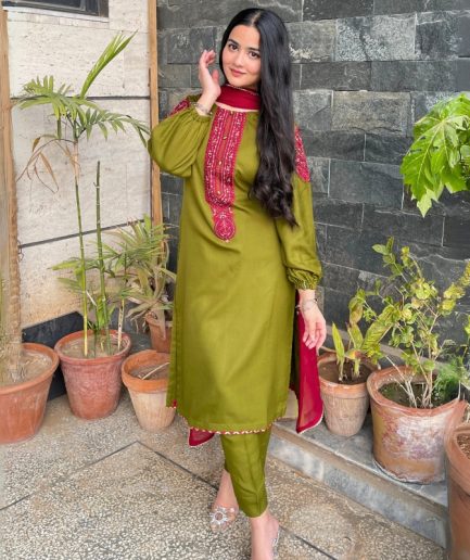 3-piece Embroidered Mehndi Green Dhanak Dress