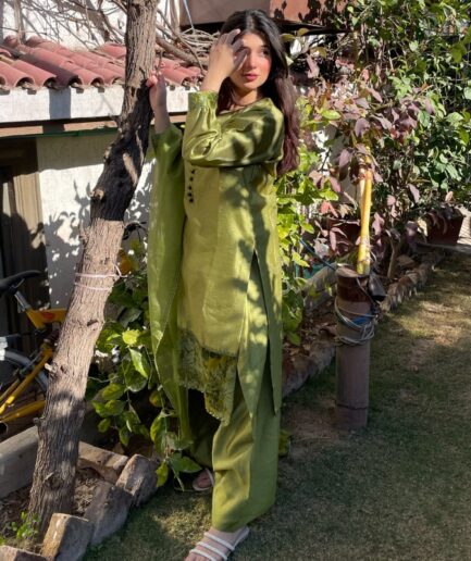 3-piece Apple Green Raw Silk Dress with Plachi Details